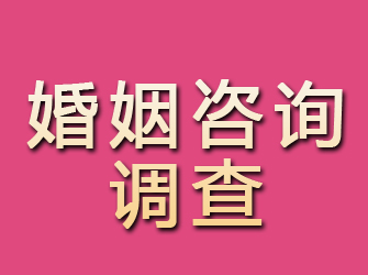 正定婚姻咨询调查