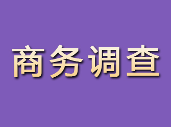 正定商务调查