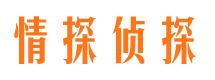 正定外遇调查取证